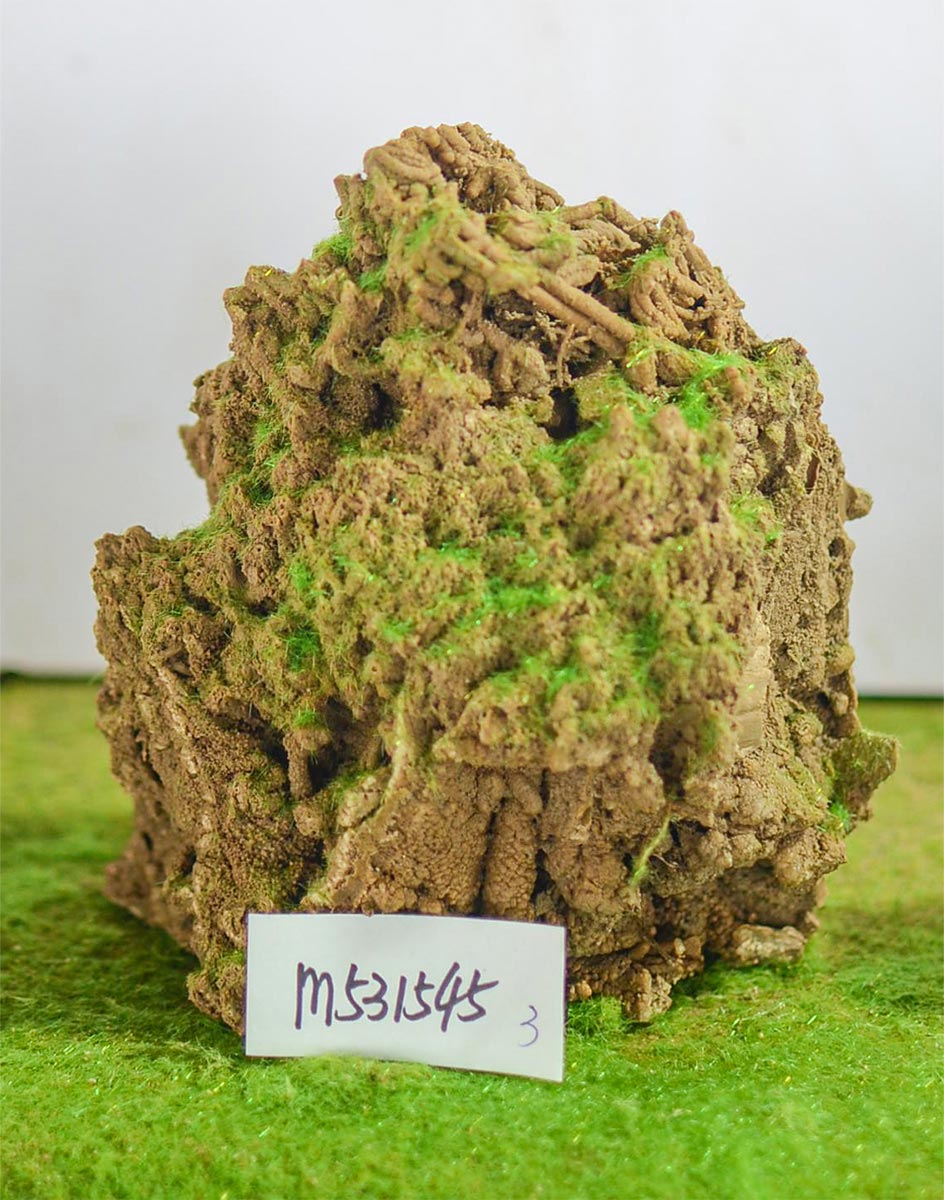 m531545