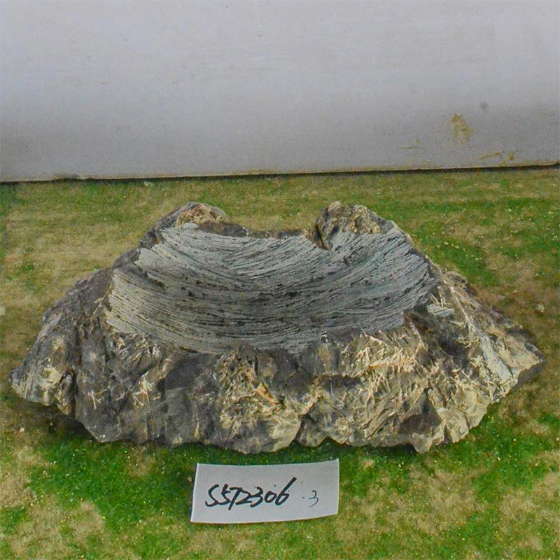 s572306