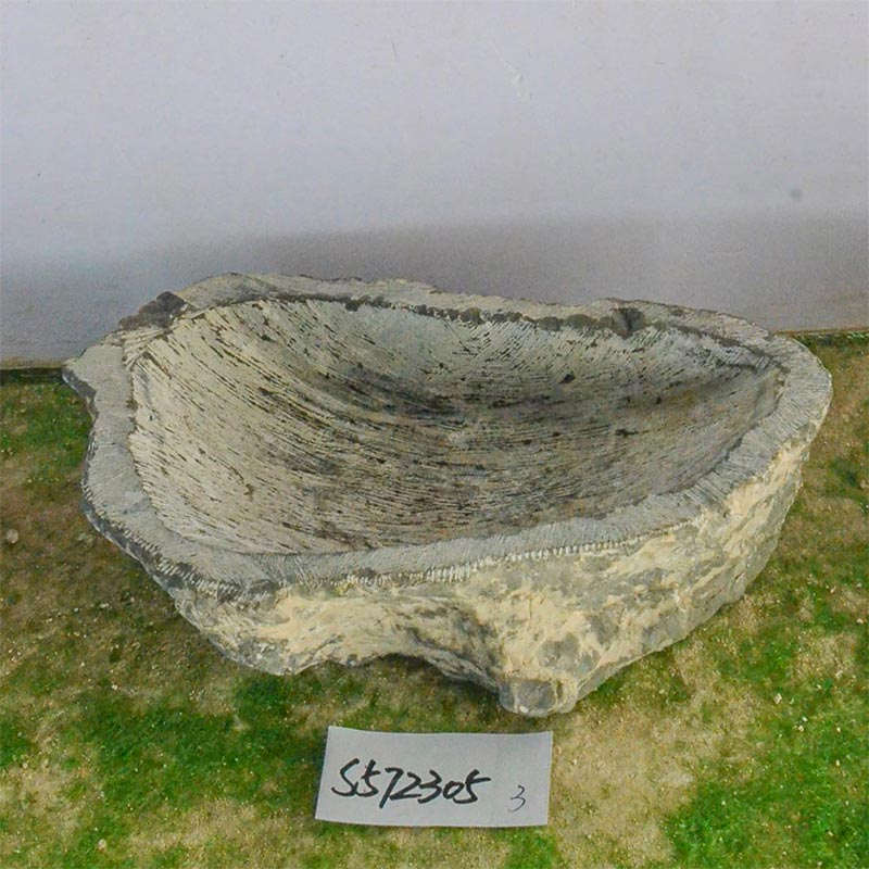 s572305