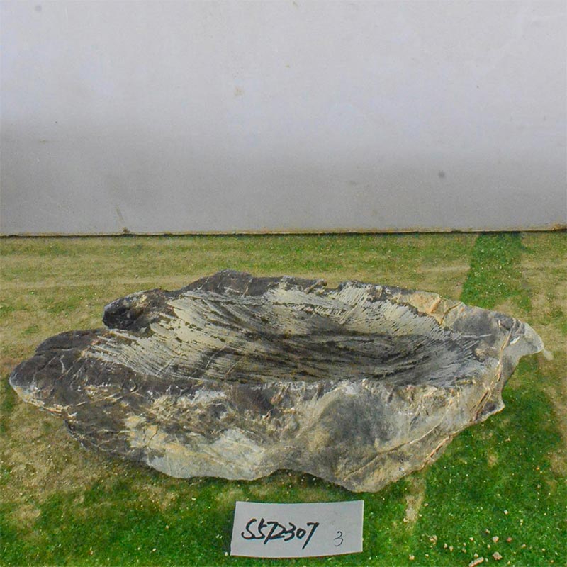 s572307