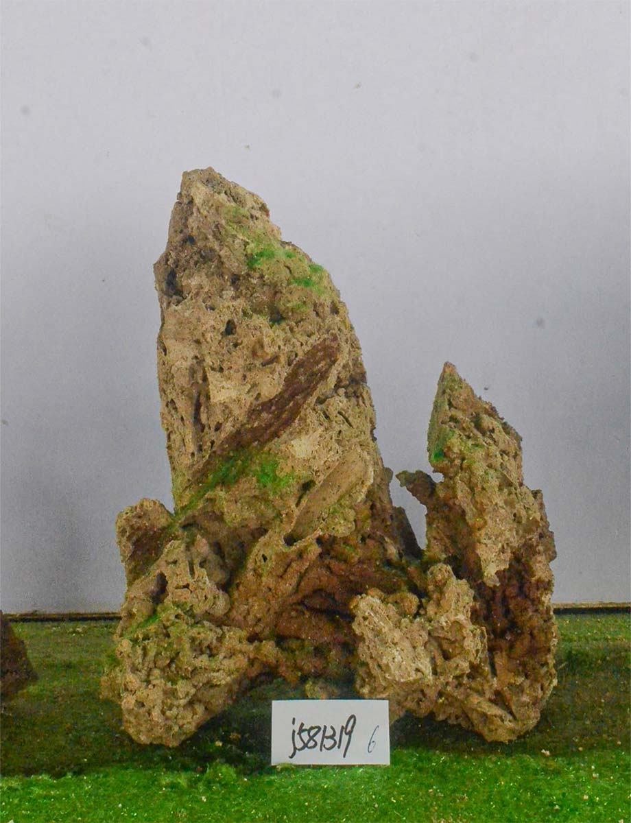 j581319