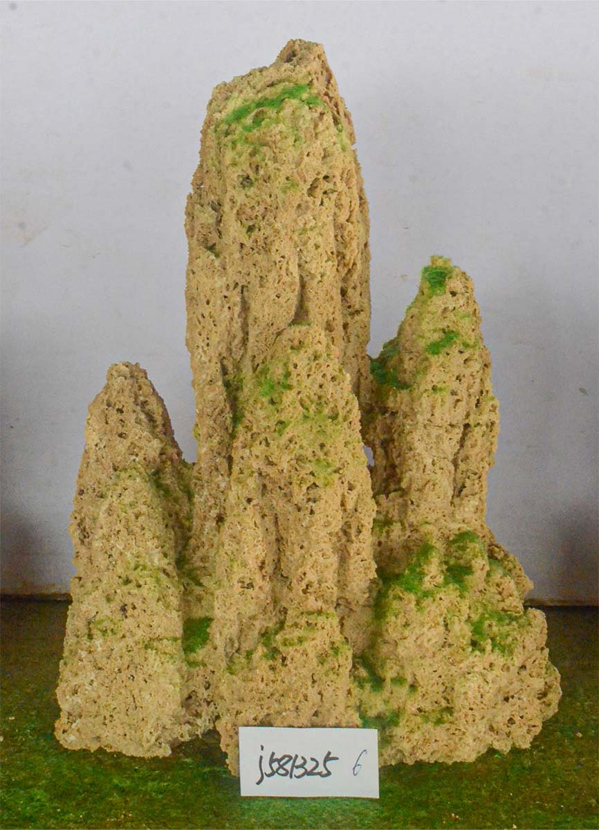 j581325